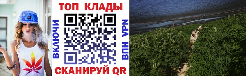 Где купить наркоту Ессентукская МДМА Псилоцибиновые грибы МЕФ Каннабис COCAIN Alpha-PVP