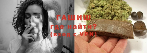 дмт Бородино