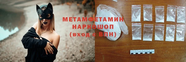 дмт Бородино