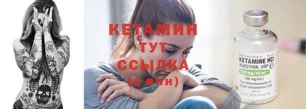 дмт Бородино