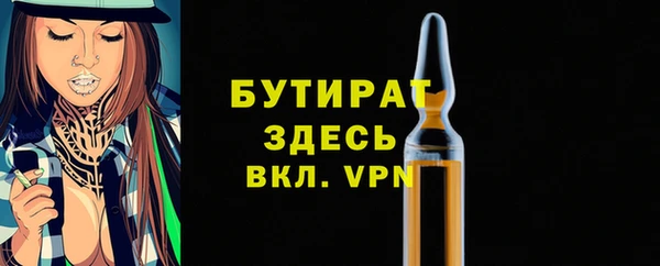 дмт Бородино
