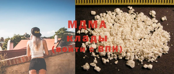дмт Бородино