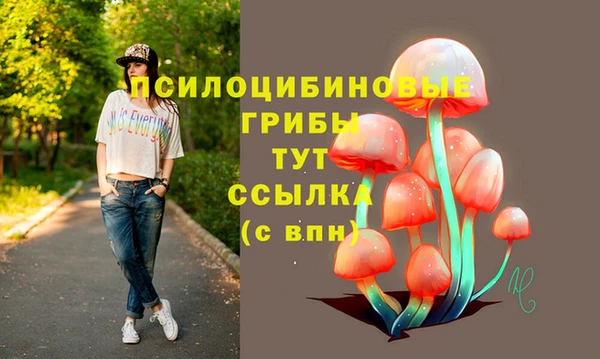дмт Бородино