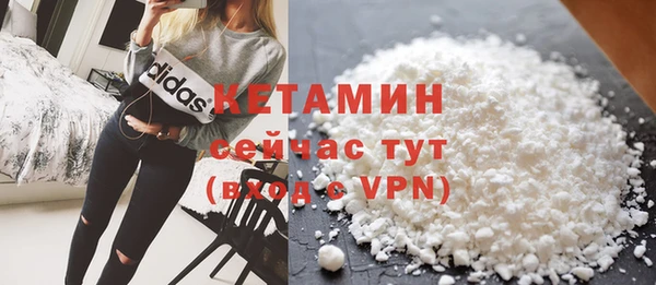 дмт Бородино
