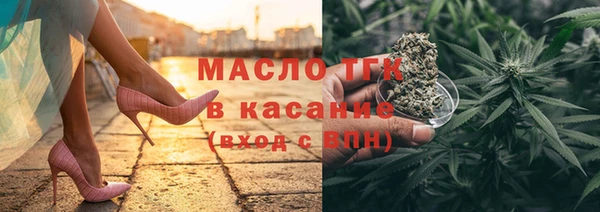 дмт Бородино