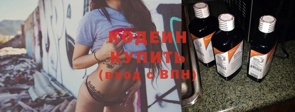 дмт Бородино