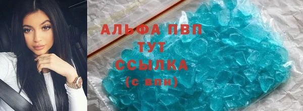 дмт Бородино