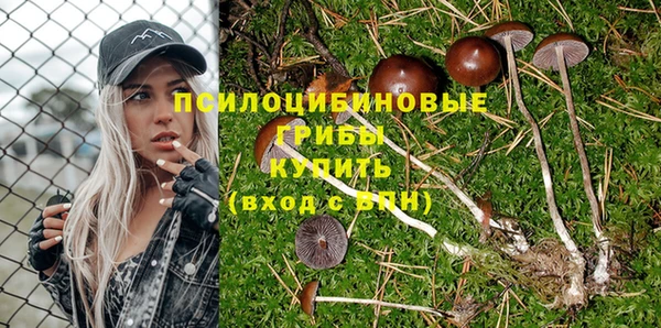 дмт Бородино