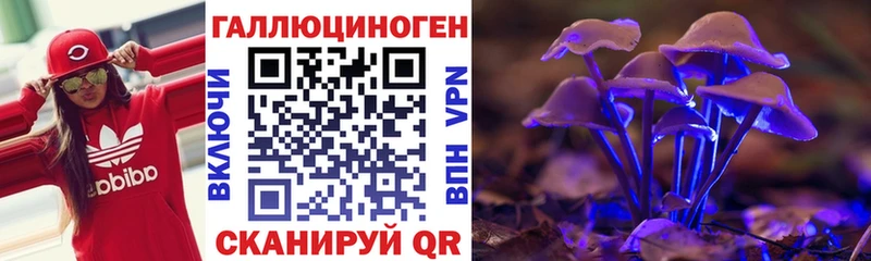 Псилоцибиновые грибы Psilocybine cubensis  Ессентукская 